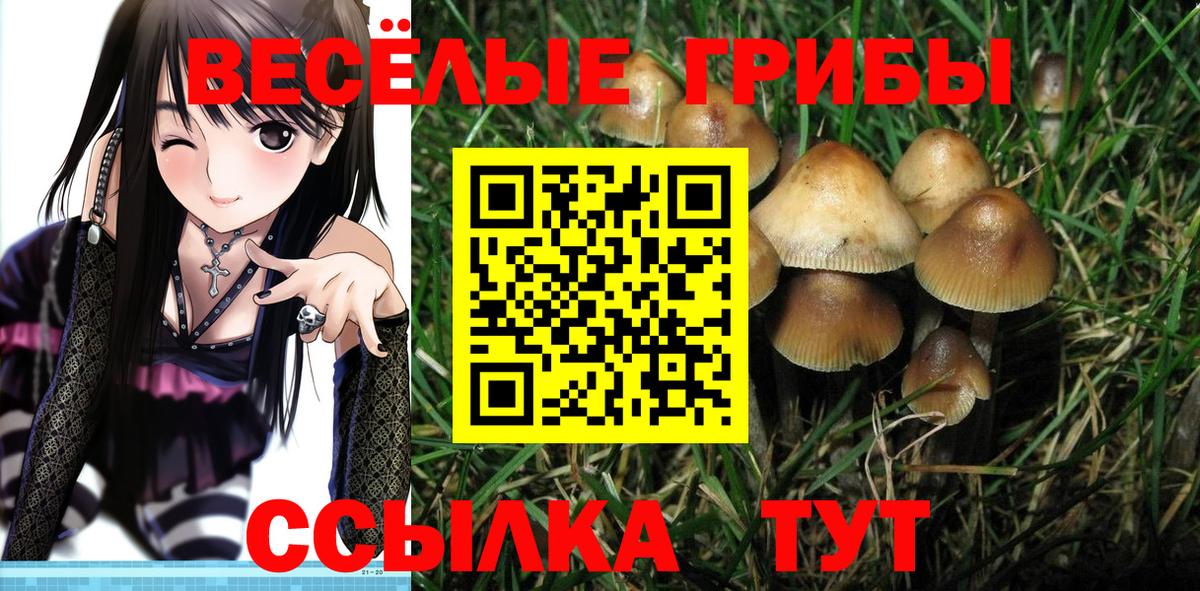 Псилоцибиновые грибы Cubensis  Галлюциногенные грибы Cubensis  Вход с VPN  Полевской 