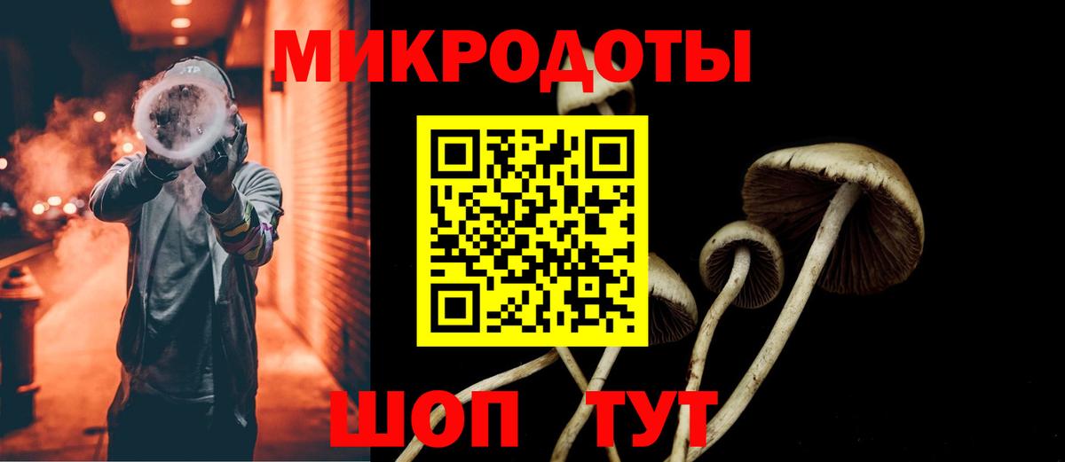 Псилоцибиновые грибы GOLDEN TEACHER Полевской